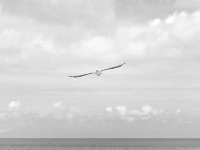 时间晶体<br>ly8tfut.cn 永动四维结构